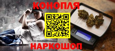 сатива Будённовск