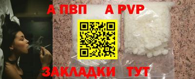 сатива Будённовск