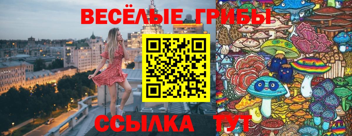 Псилоцибиновые грибы Magic Shrooms Корсаков