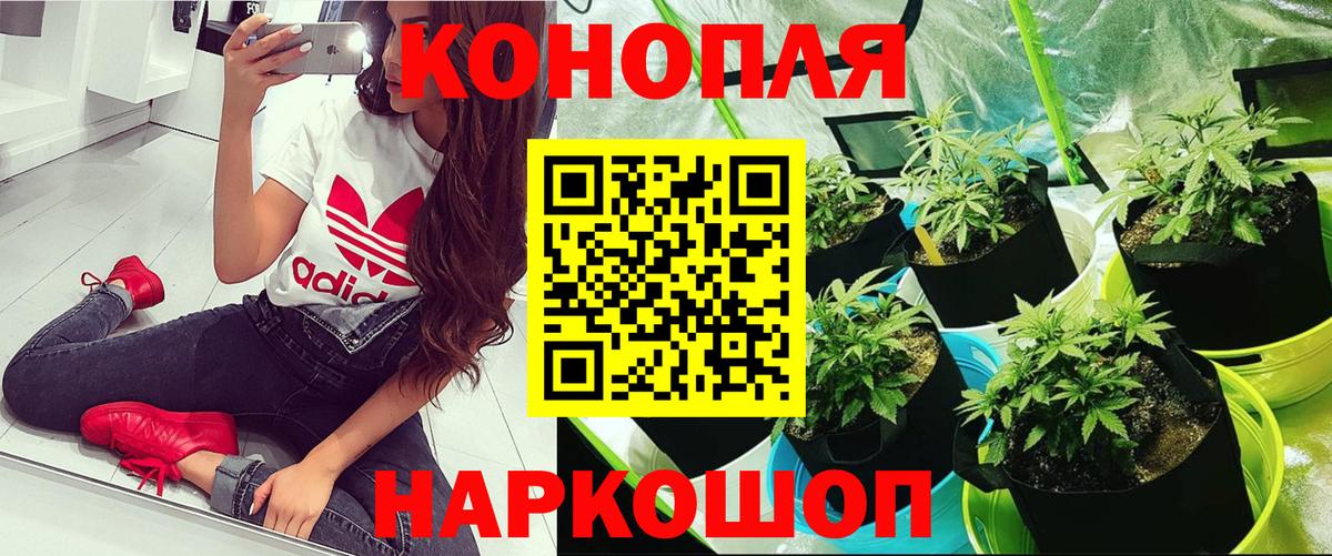Корсаков  Каннабис LSD WEED  Вход с VPN  Шишки марихуана конопля 